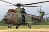 AS532 Cougar Albanie