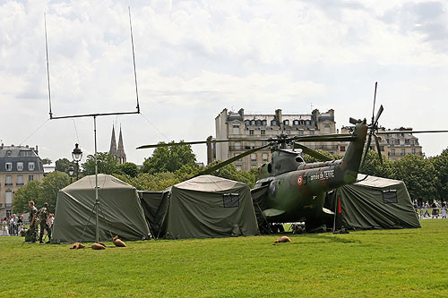 Hélicoptère SA330 Puma Armée de Terre (ALAT)