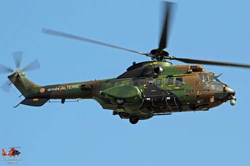 Hélicoptère AS532 Cougar rénové de l'Armée de Terre (ALAT)