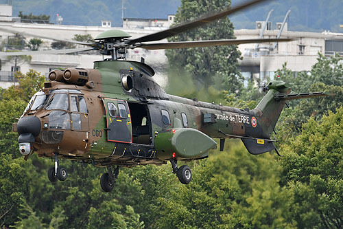 Hélicoptère AS532 Cougar rénové de l'Armée de Terre (ALAT)