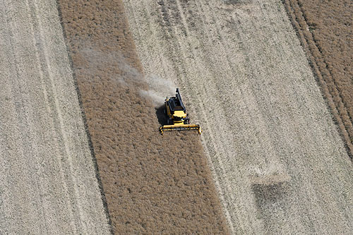 Moissonneuse en action, vue du ciel