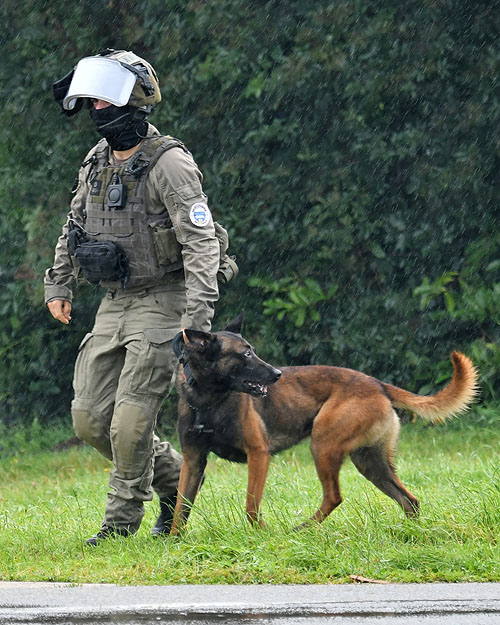 Maître-chien du GIGN