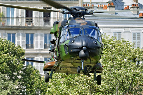 Hélicoptère NH90 Caïman Armée de Terre ALAT France