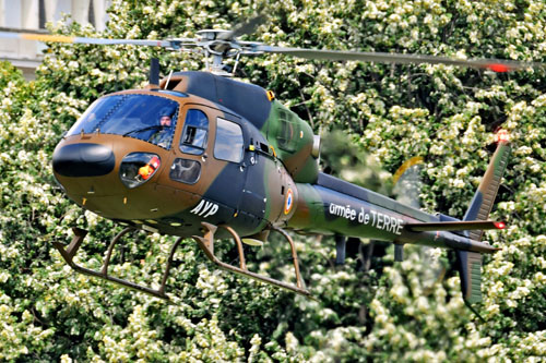 Hélicoptère AS555 Fennec Armée de Terre ALAT France