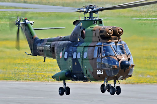 Hélicoptère SA330 Puma DBJ de l'Armée de Terre