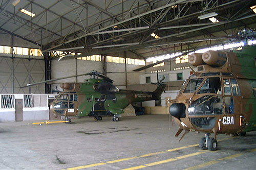 Hangar à Douala avec 2 hélicoptères Puma