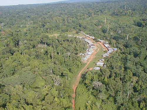 Survol d'un village au milieu de la forêt du Cameroun