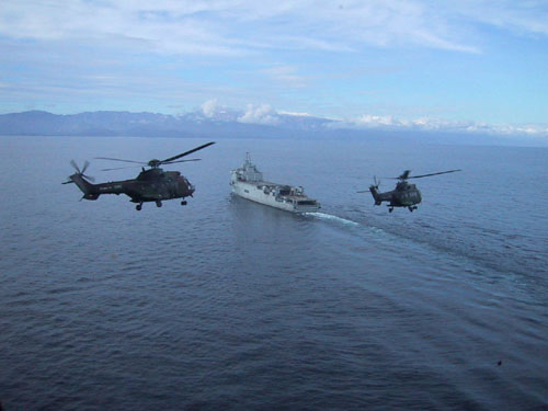 Hélicoptères Cougar de l'Armée de Terre (ALAT)