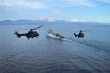 Hélicoptères Cougar de l'Armée de Terre (ALAT)