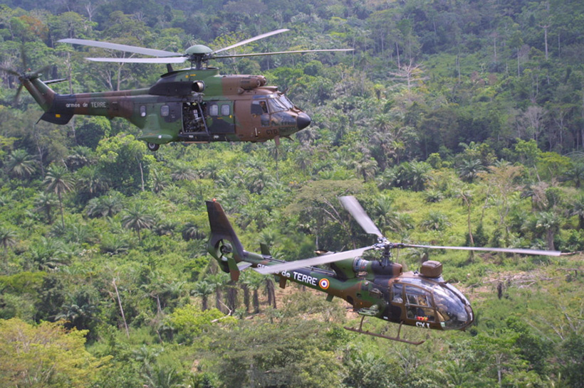 Des hélicoptères Cougar et Gazelle de l'ALAT française (Aviation Légère de l'Armée de Terre) survolent la Côte d'Ivoire