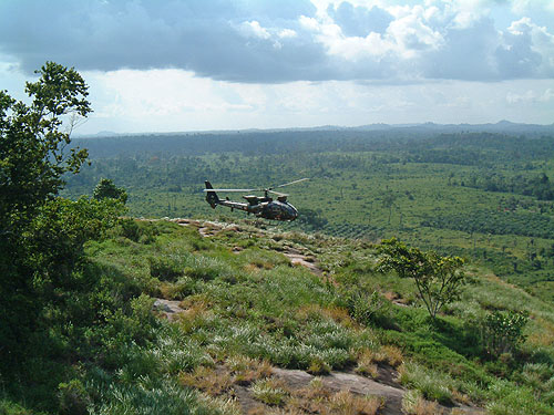 Des hélicoptères Cougar et Gazelle de l'ALAT française (Aviation Légère de l'Armée de Terre) survolent la Côte d'Ivoire