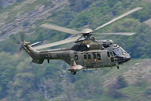 Hélicoptère AS332 M1 SuperPuma de l'armée suisse