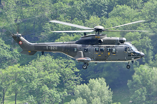 Hélicoptère AS332 M1 SuperPuma de l'armée suisse