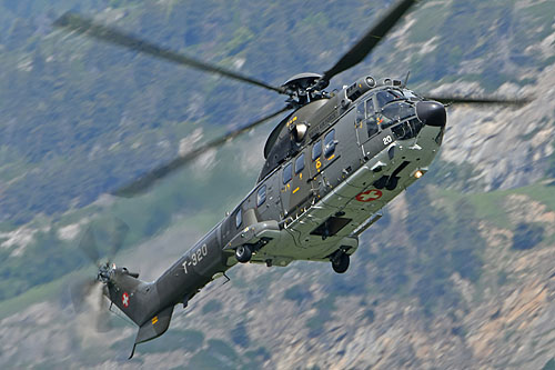 Hélicoptère AS332 M1 SuperPuma de l'armée suisse