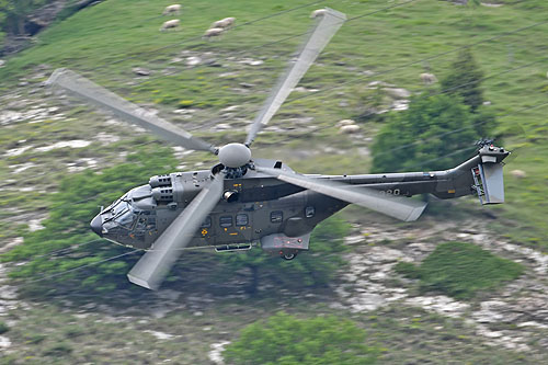 Hélicoptère AS332 M1 SuperPuma de l'armée suisse