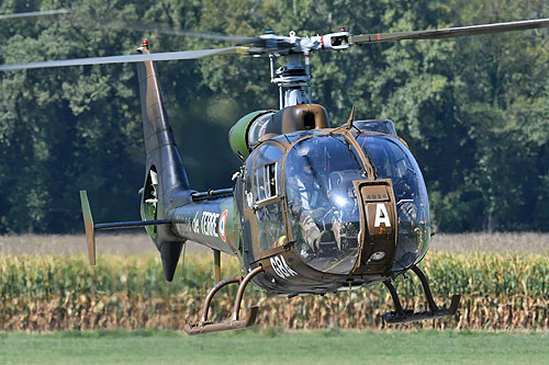 Hélicoptère SA342 Gazelle ALAT