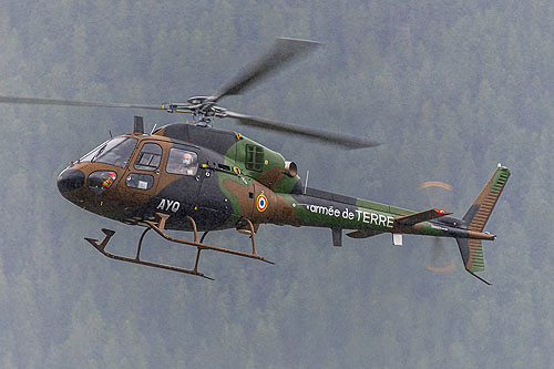 Hélicoptère AS555 Fennec AYQ ALAT