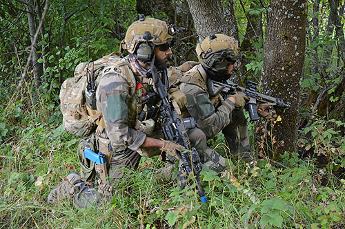 Commandos de montagne de la 27e brigade d'infanterie de montagne (chasseurs alpins)