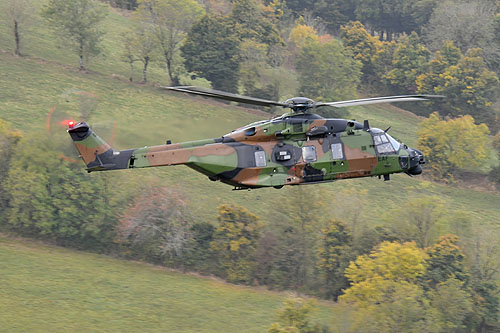 Hélicoptère NH90 Caïman ALAT