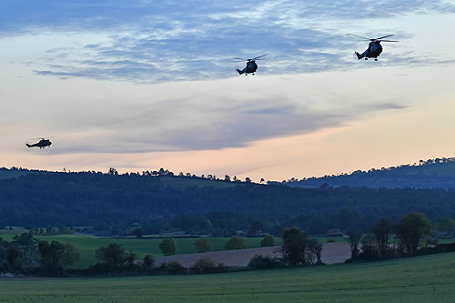 Hélicoptères SA330 Puma ALAT