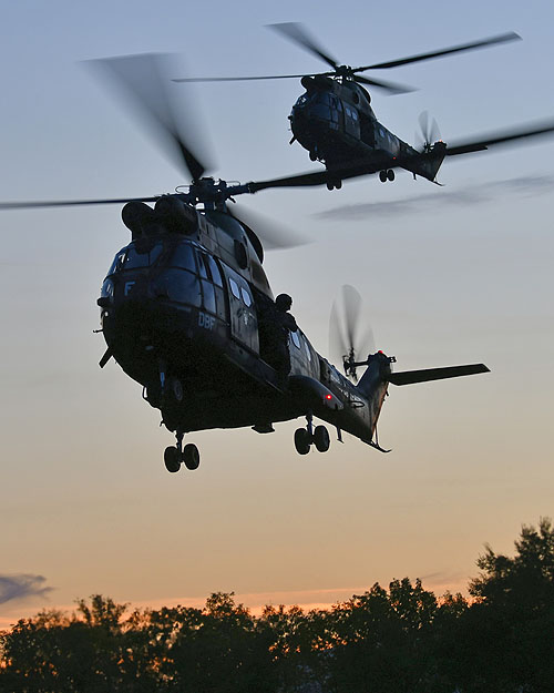 Hélicoptères SA330 Puma ALAT