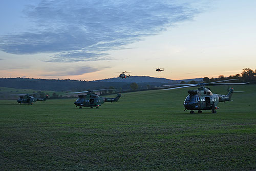 Hélicoptère Puma, Cougar et Caïman ALAT