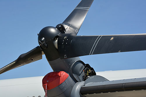 Hélicoptère à rotors basculants MV22 Osprey de l'Armée de l'Air américaine