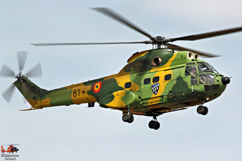 Hélicoptère IAR330M Puma Roumanie