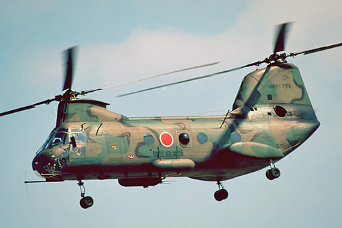 Hélicoptère KV107 de l'Armée de Terre japonaise (JGSDF)