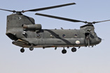 CH47 Chinook Australie