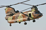 CH47 Chinook Espagne