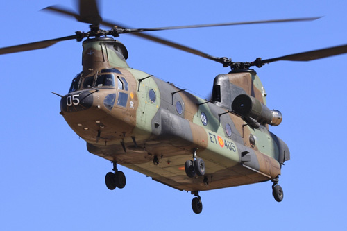 CH47 Chinook Espagne