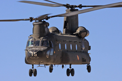 CH47 Chinook Espagne