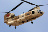 Hélicoptère CH47 Chinook Maroc