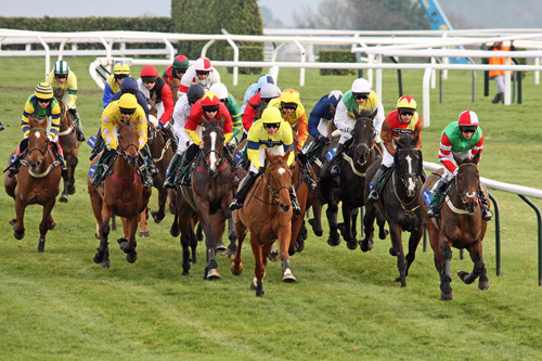 Course de chevaux à Cheltenham