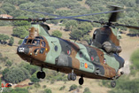 Hélicoptère CH47 Chinook de l'Armée de Terre espagnole (FAMET)