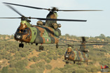 Hélicoptères CH47 Chinook de l'Armée de Terre espagnole (FAMET)