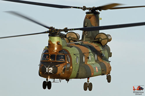 Hélicoptère CH47 Chinook de l'Armée de Terre espagnole (FAMET)