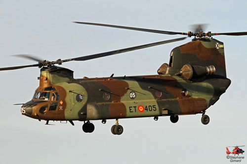 Hélicoptère CH47 Chinook de l'Armée de Terre espagnole (FAMET)