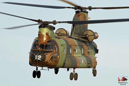 Hélicoptère CH47 Chinook de l'Armée de Terre espagnole (FAMET)