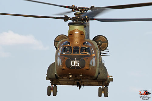 Hélicoptère CH47 Chinook de l'Armée de Terre espagnole (FAMET)