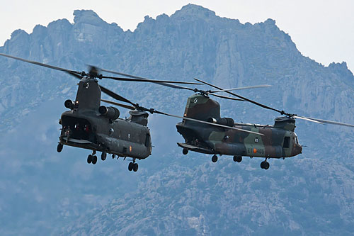 Hélicoptère CH47 Chinook FAMET