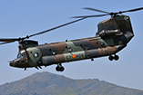 Hélicoptère CH47 Chinook FAMET