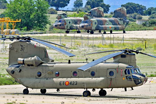 Un nouvel hélicoptère CH47F Chinook, au fond 2 CH47D avec les rotors démontés