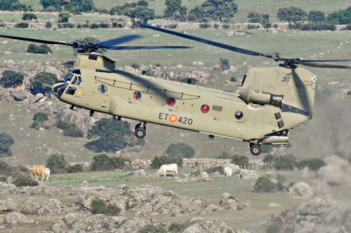 Hélicoptère CH47F Chinook ET420