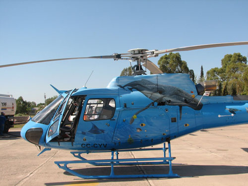 Hélicoptère AS350 Ecureuil ECOCOPTER