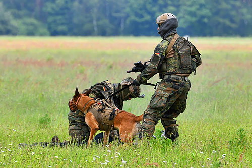 Hélicoptère CH53GS Bundeswehr