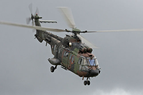 Hélicoptère AS532 Cougar de l'Armée de l'Air hollandaise (KLU)