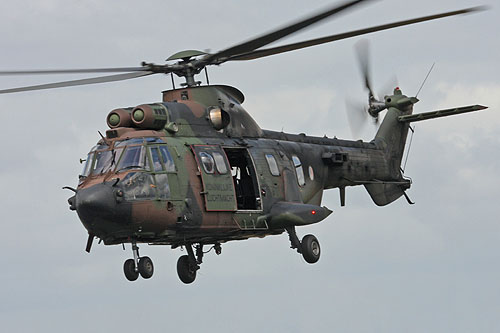 Hélicoptère AS532 Cougar de l'Armée de l'Air hollandaise (KLU)