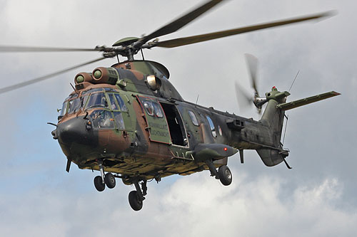 Hélicoptère AS532 Cougar de l'Armée de l'Air hollandaise (KLU)